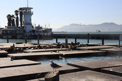 IMG_0221.jpg