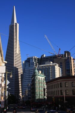 IMG_0247.jpg