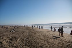 IMG_0366.jpg