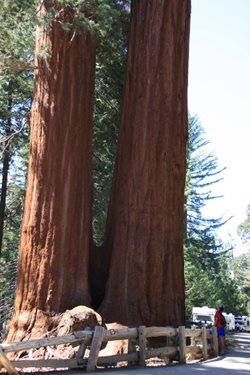 IMG_0741.JPG