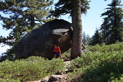 IMG_0815.JPG