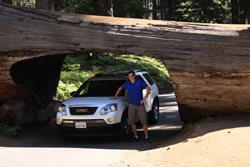IMG_0956.JPG