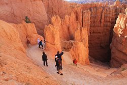 IMG_1462.JPG