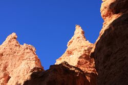IMG_1494.JPG
