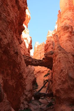 IMG_1520.JPG