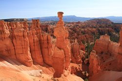 IMG_1542.JPG
