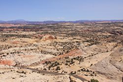 IMG_1619.JPG
