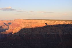 IMG_2083.JPG