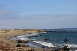 IMG_9910.jpg