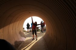 IMG_9937.jpg