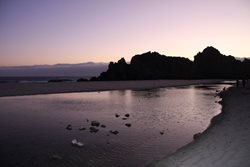 IMG_9977.jpg