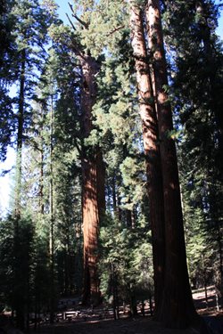 IMG_0891.JPG