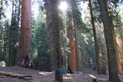 IMG_0892.JPG