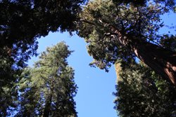 IMG_0895.JPG
