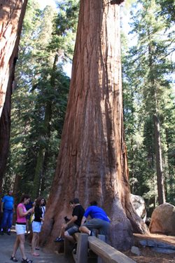 IMG_0902.JPG