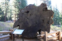 IMG_0911.JPG