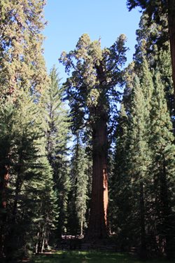IMG_0912.JPG