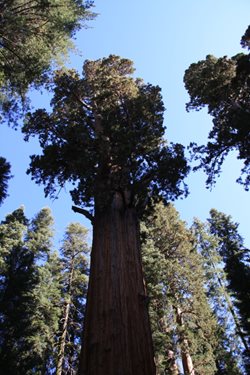 IMG_0931.JPG