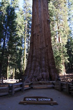 IMG_0932.JPG