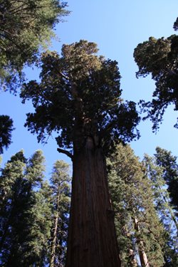 IMG_0933.JPG