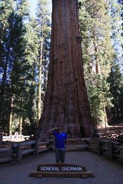 IMG_0934.JPG