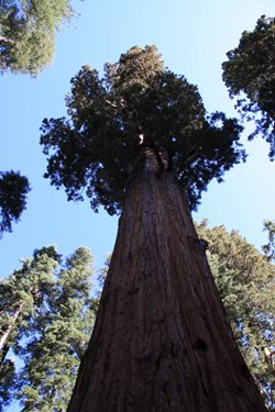 IMG_0936.JPG