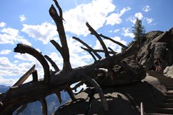 IMG_0968.JPG