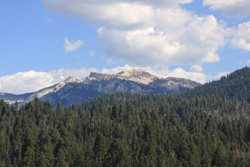 IMG_0977.JPG