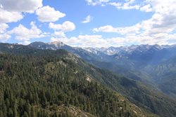 IMG_0979.JPG