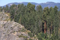 IMG_0986.JPG