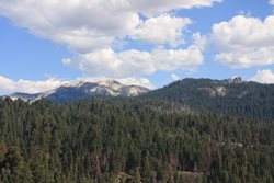 IMG_0988.JPG