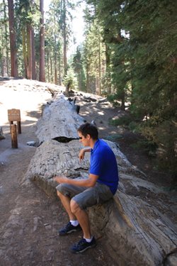 IMG_1017.JPG