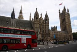 IMG_3062.jpg