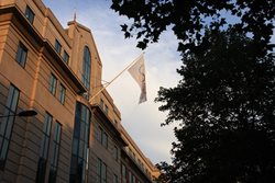 IMG_3624.jpg