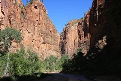 IMG_1196.JPG
