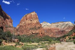 IMG_1226.JPG