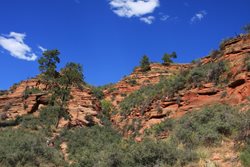 IMG_1246.JPG