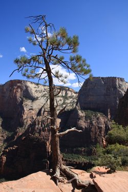 IMG_1260.JPG