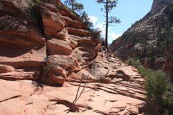 IMG_1265.JPG