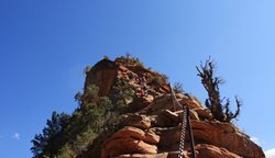IMG_1283.JPG