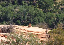 IMG_1337.JPG