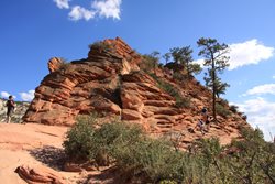 IMG_1350.JPG