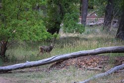 IMG_1404.JPG